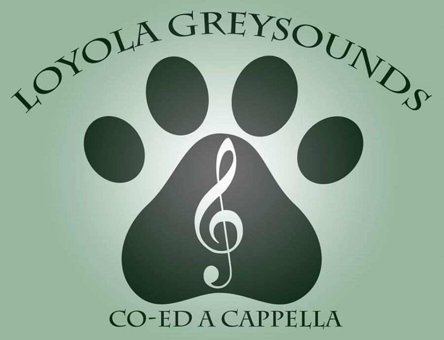 Greysounds+to+Represent+Loyola+at+Regionals