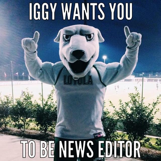 The Greyhound is looking for a news editor! Think you have what it takes? Email us at eic@thegreyhound.org