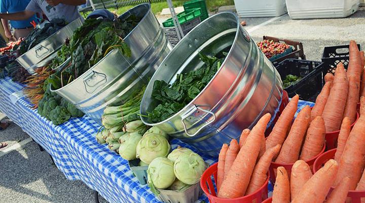 Govanstowne Farmers’ Market: Go while you have the chance