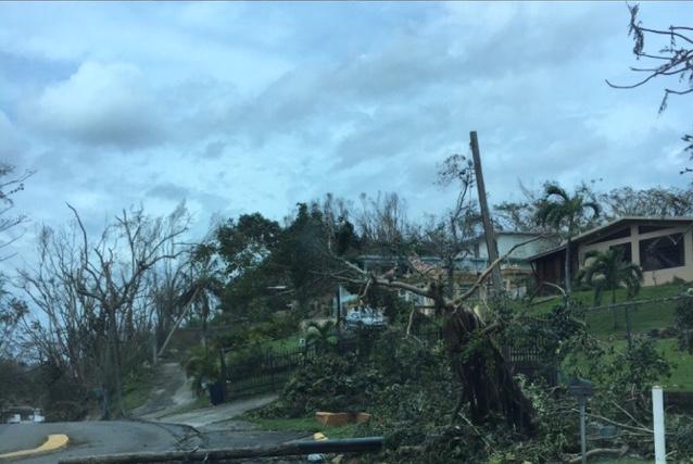 Hurricane Maria impacts Loyola faculty, students