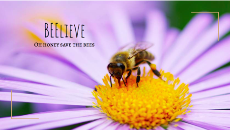 BEElieve brings fight for the bees to campus