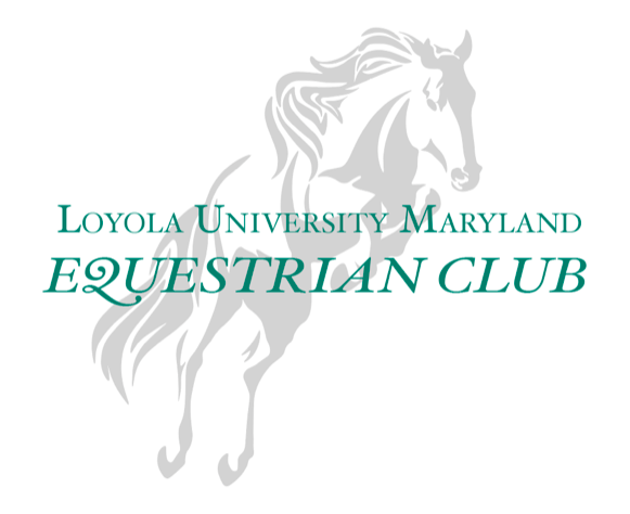 Loyola Junior brings the Equestrian Club back to Loyola