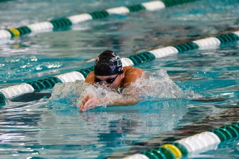 Swimming and diving teams win 29 events in dual victories over Fairfield