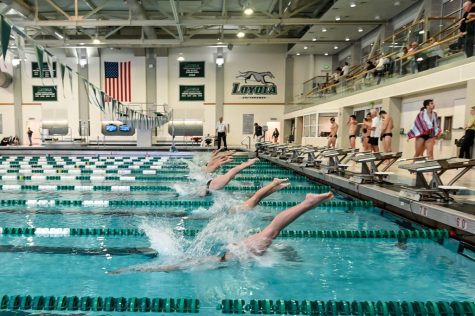 Several Greyhounds set pool records as Swimming and Diving teams sweep through H2ounds Invitational ﻿