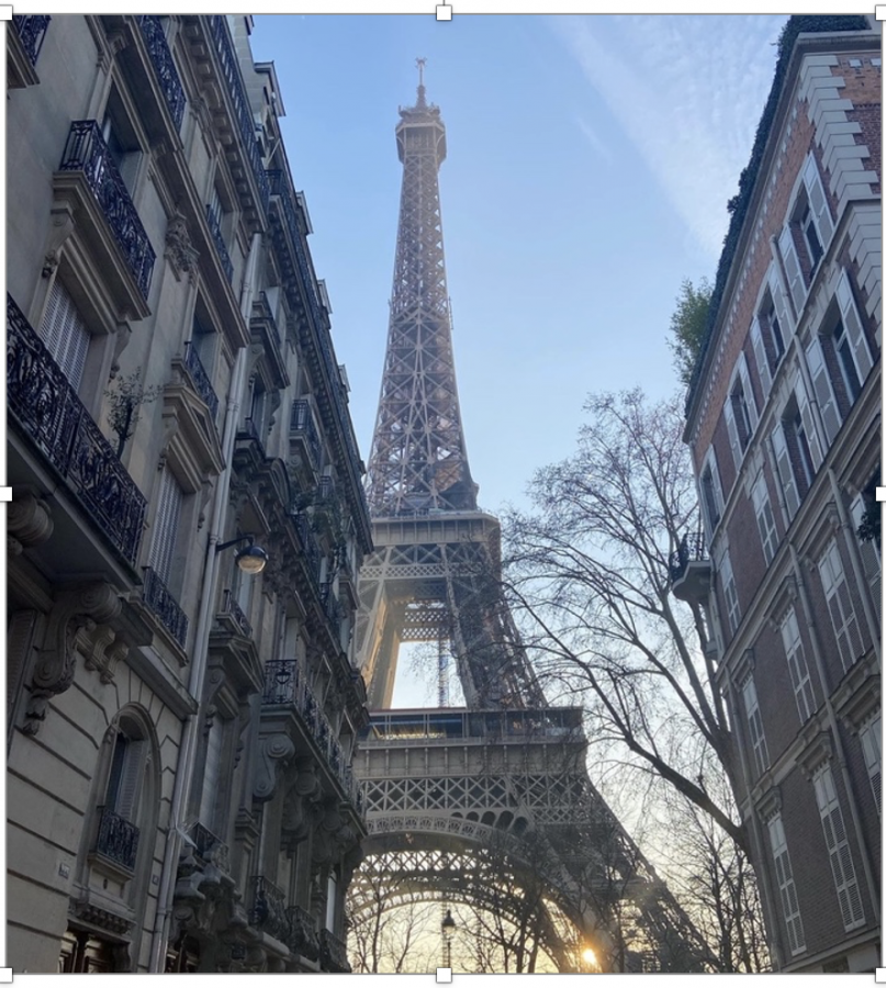 Paris: Learning through Museums