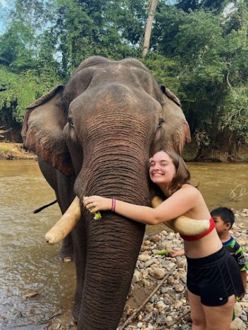 An Ode to Bangkok, a Truly Extraordinary Loyola Study Abroad Experience