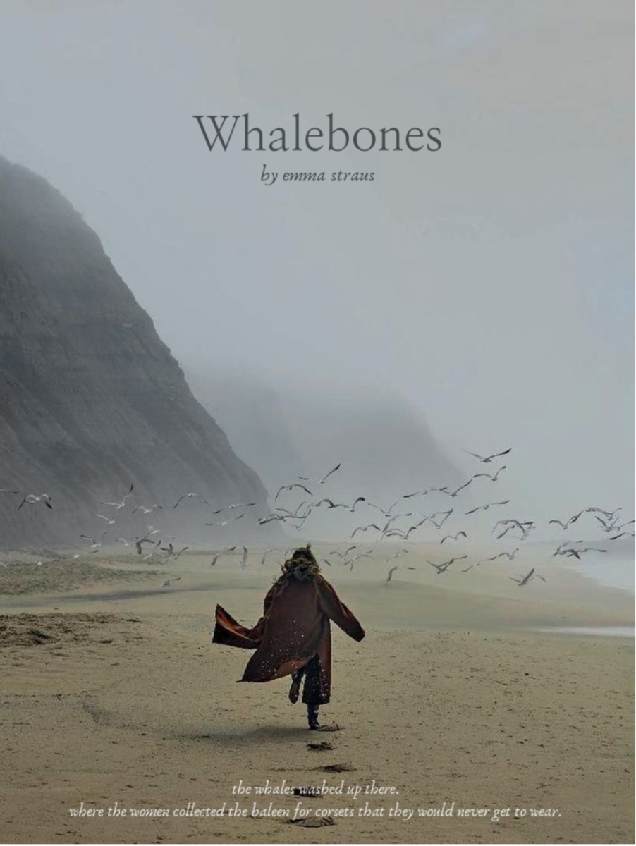 The Muse: Deep Dive - Q&A with Student Author of “Whalebones”