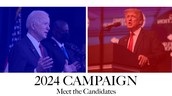 2024 Presidential Campaign: Trump and Biden Lead the Two-Party System
