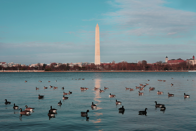 How To Do D.C. On A Budget