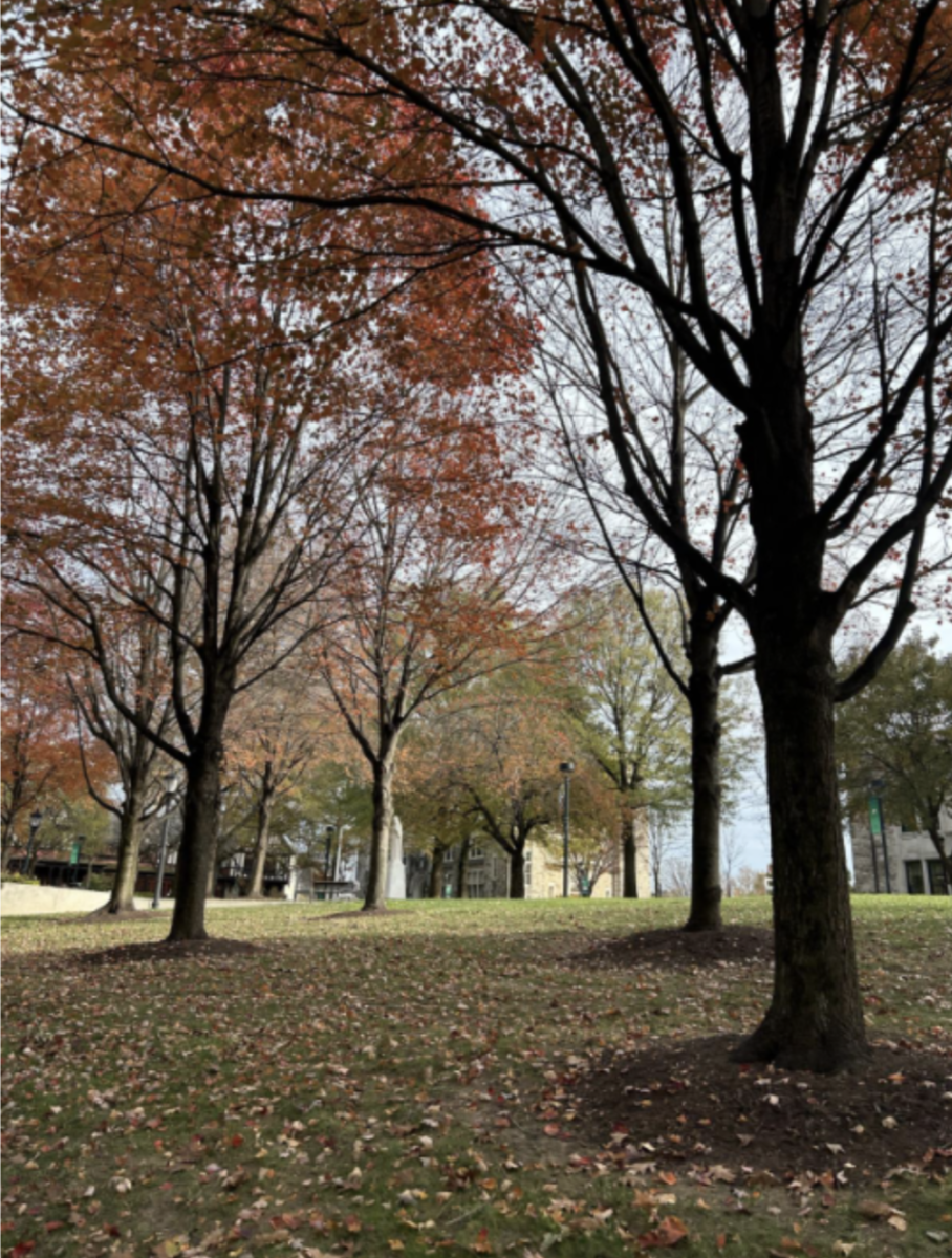 As Fall Ends, Loyola’s Arboretum Highlights Campus Sustainability