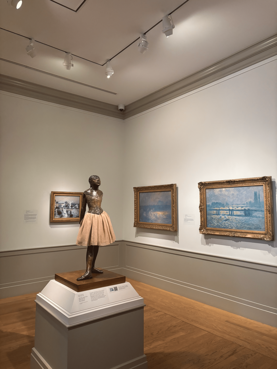 Putting a Spotlight on The BMA’s Free Admission Policy